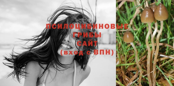 дживик Менделеевск