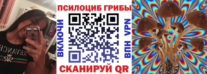 ссылка на мегу вход  Мещовск  Псилоцибиновые грибы Psilocybe 